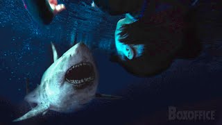 Upside Down Shark Fight  47 Meters Down Uncaged  CLIP [upl. by Janela]