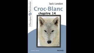 Chapitre 14  Croc Blanc de Jack London  version abrégée [upl. by Bick]