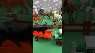 BULL HORSE TRACTOR  TOURO CAVALO TRATOR [upl. by Nallak]