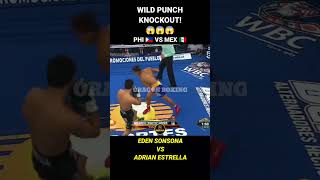 Pinoy Wild Punch Knockout pinoyboxing oragonboxing boxing [upl. by Adnomal]