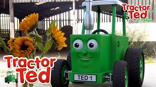 Sunny Seeds🌻  New Tractor Ted Trailer  Tractor Ted Official Channel [upl. by Nillad]