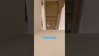 Throwing fnaf plushies of stairsfunnyfnaffallingfunny vid [upl. by Aihsoj]