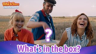 Bibi amp Tina  Einfach Anders  Whats in the Box Challenge [upl. by Wallas]