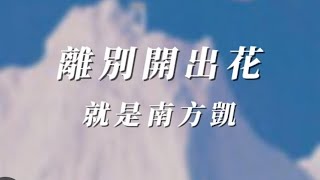 离别开出花，就是南方凯，cover by清茶Bob [upl. by Acirtal973]