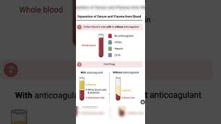 Serum vs plasma labtechnician medicallaboratorytechnician labtechnicianvacancy labtech [upl. by Ladnek316]