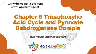 Chapter 9 Tricarboxylic Acid Cycle and Pyruvate Dehydrogenase Complex Carbohydrates and Metabolism [upl. by Shurlock]