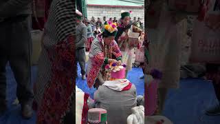 tribalmarriage kinnaur marriage kalpa Rarang [upl. by Sirad553]