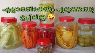 ഉപ്പിലിട്ടത് 😋 Uppilittathu malayalam  nasbetterkitchen [upl. by Ab828]