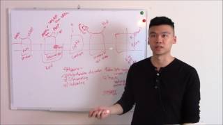 USMLE Biochemistry 5 Electron Transport Chain [upl. by Leseil158]