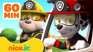 PAW Patrol  PAW Patrol NEUE FOLGEN Compilation  1 Stunde  Nick Jr  Nick Jr Deutschland [upl. by Yeloc]