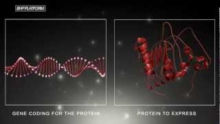 Epitope Mapping [upl. by Leugimesoj276]