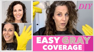 EASIEST GRAY COVERAGE TUTORIAL  EASY DIY HOW TO DYE GRAY HAIR [upl. by Keppel]