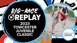 2023 Towcester Juvenile Classic Final  Droopys Clue  Greyhound Race Replays  2023 Big Finals [upl. by Foss930]