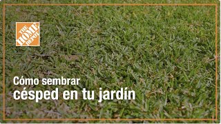 Cómo sembrar césped en tu jardín ¡Guía paso a paso [upl. by Marden]