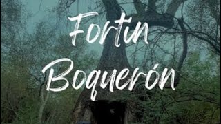 Fortín Boquerón  Chaco Paraguayo [upl. by Nnylatsirk931]