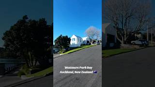 📍Westmere Park Bay fyp fypage fypシ゚ youtubeshorts shorts reels newzealand [upl. by Leroi]