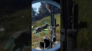 the hunter call of the wild cotwgameplay thehunter thehuntercallofthewild hunting huntinglife [upl. by Sokairyk]