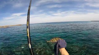 23042022 KIBRIS SOKAN SOKAR AVI SIGANUS RIVULATUS κουρκούνες FISHING IN CYPRUS [upl. by Ycnuahc]