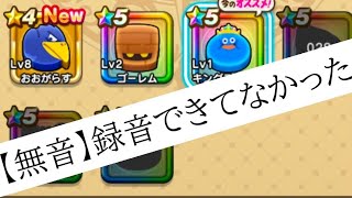 １０分間喋った結果録音ができていなかった！字幕を付けるか、後付音声にするか・・・ええい、このまま無音でアップロードじゃ！【dqw】【ドラけし】 [upl. by Claudy]