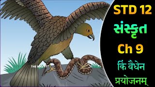 Std 12 Sanskrit Ch 9  किं वैधेन प्रयोजनम्  Std 12 Sanskrit Ch 9 Swadhyay Solutions  g shala [upl. by Giarla]