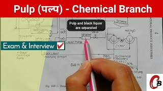 Manufacturing process of Pulp with a flowsheet diagram  Chemical engineering [upl. by Engamrahc190]