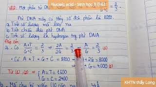 Nucleic acid DNA và RNA  Sinh học 9 P6 [upl. by Phyl]