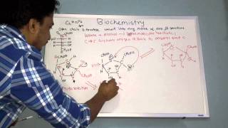 Alpha and beta structure of Dfructose [upl. by Thedrick]