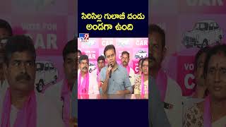 సిరిసిల్ల గులాబీ దండు అండగా ఉంది  Minister KTR  TV9 [upl. by Hootman92]