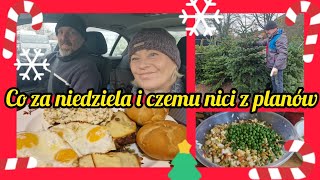 NIEDZIELA PITULAKÓW INNA NIŻ ZWYKLE🙂MAMY CHOINKĘ🎄COŚ NA ZĄBEK😉 [upl. by Edana]