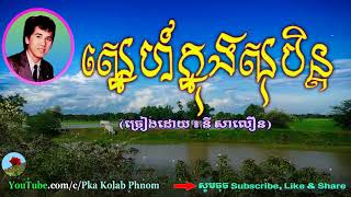 ស្នេហ៍ក្នុងសុបិន្ត នីសាលឿន  Sne knong soben Ny saloeun song [upl. by Aldo754]