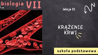 Biologia 7 Lekcja 15  Krążenie krwi [upl. by Lisk]