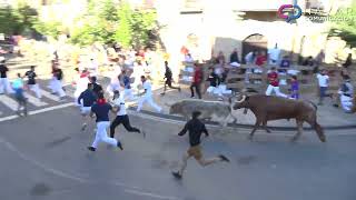 Encierro Tafalla 20082022  Ganadería Toro Pasión  Fiestas de Tafalla [upl. by Lukasz]