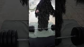 Man in Ghillie Suit Deadlifts 170lbs [upl. by Nitsug720]