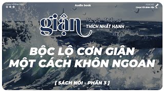 Bộc lộ cơn giận một cách khôn ngoan  Phần 3  Sách nói GIẬN  Thiền sư THÍCH NHẤT HẠNH [upl. by Neom423]