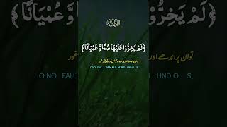 Quran karimbest recitation of the holy quran with english and urdu translation Best recitation [upl. by Malinowski]