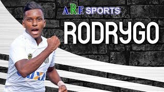 Rodrygo Goes  Atacante  Santos FC  Amazing Skills Goals amp Assists MELHORES MOMENTOS  HD [upl. by Leidgam]