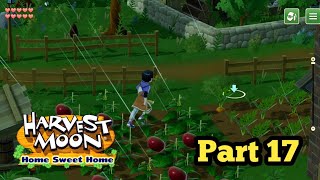 Harvest Moon Home Sweet Home Gameplay Part 17 [upl. by Aillicec428]