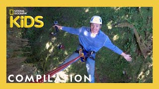 Explore US National Parks to Learn About Trees 🎄  Nat Geo Kids Compilation  natgeokids [upl. by Filip]