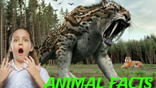 Extinct Animals On Camera Extinct Animals On live Camera mosasaurus video liviatan tiger [upl. by Nesral]