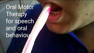 Oral Motor Therapy  Speech And Oral Motor Seeking and Avoiding Behaviours  Home Therapy [upl. by Cecilia]