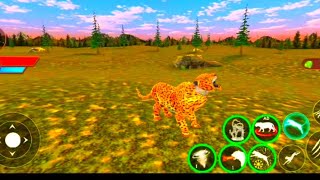 TIgER SImULaTOR 3D TIGeR GaME ONLY GaMInG [upl. by Aeriell]