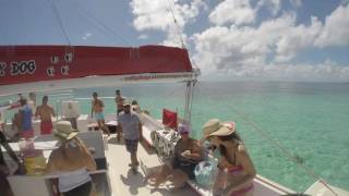 Catamaran Salty Dog Icacos [upl. by Einalem]