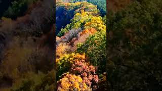 Fall Tour Mohican State Gorge Overlook Trail autumn fall nature drone [upl. by Decato]