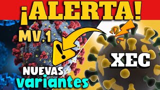 ¿Estamos ante una NUEVA OLA de coronavirus en 2024 [upl. by Maryn]