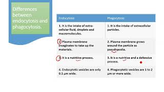 Differences between endocytosis and phagocytosis  endocytosis and phagocytosis class 9 [upl. by Lamrouex]