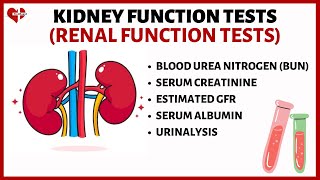 Kidney Function Tests KFTs Explained Serum Creatinine Serum Albumin BUN eGFR and Urinalysis [upl. by Ordway]