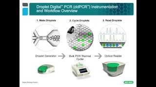 Droplet Digital™ Applications Phasing of Genetic Variants for CFTR Haplotyping [upl. by Nnairb]