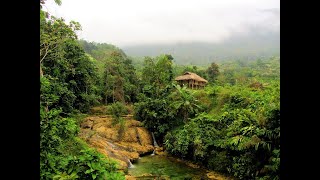 Homestays Pu Luong Nature Reserve Vietnam [upl. by Melvina481]