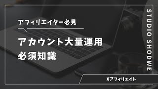 【X（旧Twitter）運用】大量のアカウントを運用する際に必要な知識とリスクヘッジ方法【アフィリエイト】 [upl. by Aiza]