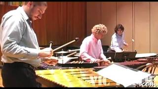 Concerto for Marimba amp Percussion Ensemble mvt 1 by Ney Rosauro  Marimba Literature Library [upl. by Anytsirk]